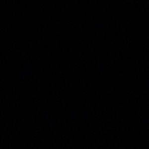 Meet your Posher, Gisselle